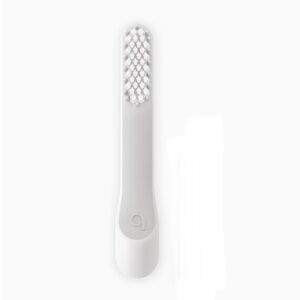 Quip adult soft bristles toothbrush head